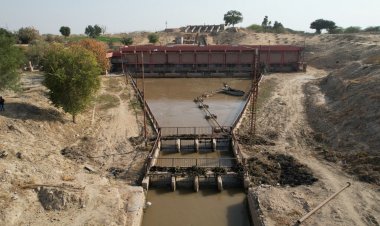 प्रदेश सरकार का कमाल - मरुस्थल में गूंज रहा पानी का पैगाम