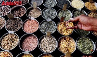 माह जनवरी -2023 में सभी वस्तुओं का थोक मूल्य सूचकांक 389.98 रहा