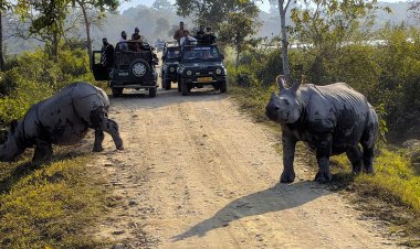 आयुष मंत्रालय असम के काजीरंगा राष्ट्रीय उद्यान में अपना पहला 'चिंतन शिविर' आयोजित करेगा