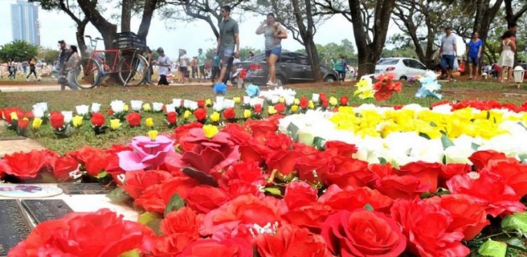 सिटी पार्क में 26 फरवरी को होगा ’रोज शो-2023’ का आयोजन- द रोज सोसाइटी ऑफ राजस्थान की ओर से आयोजित शो में 400 से अधिक किस्म के गुलाब किए जाएंगे प्रदर्शित -मुख्य सचिव अपराह्न 3.15 बजे करेंगी कार्यक्रम में शिरकत