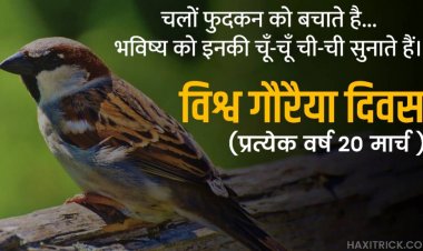 दिवस विशेष : विश्व गौरैया दिवस