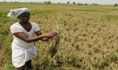 किसानों को खेती के गुर सिखाने के लिए प्रशिक्षण कार्यक्रम का किया गया आयोजन।