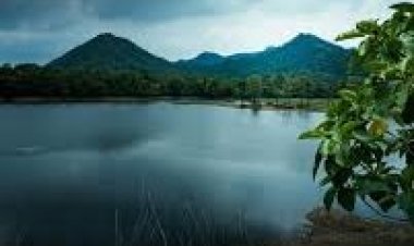 मानसून ने समय से पहले दी केरल में दस्तक, 16 वर्षों में पहली बार इतनी जल्दी आया